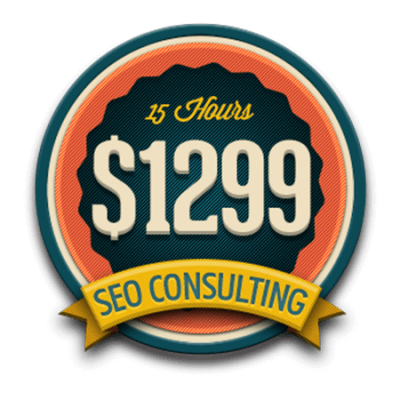 15 Hours SEO Consulting