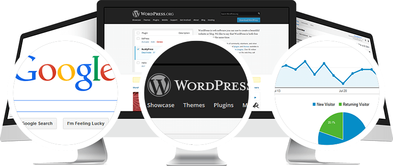 WordPress SEO Consulting